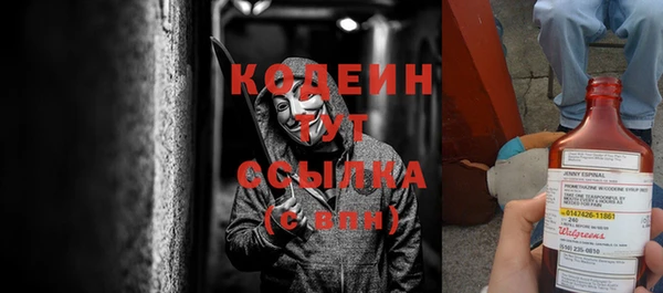 дурь Бородино