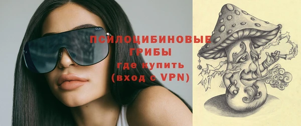 винт Бронницы