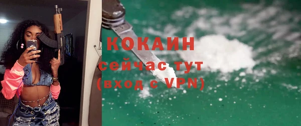 дурь Бородино
