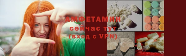 дурь Бородино