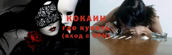 дурь Бородино