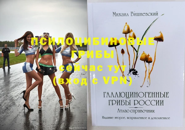 винт Бронницы