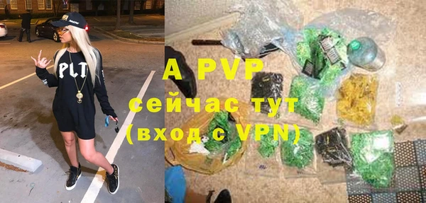 дурь Бородино
