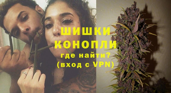 дурь Бородино
