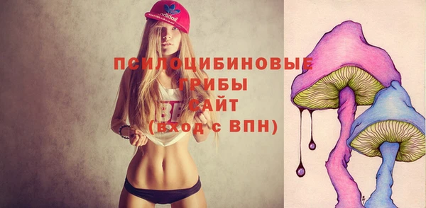 дурь Бородино